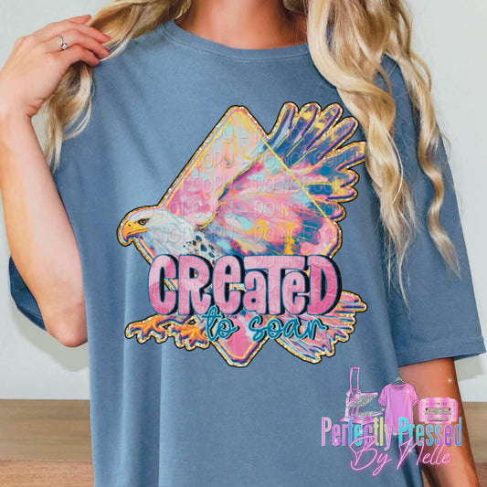 Created to soar