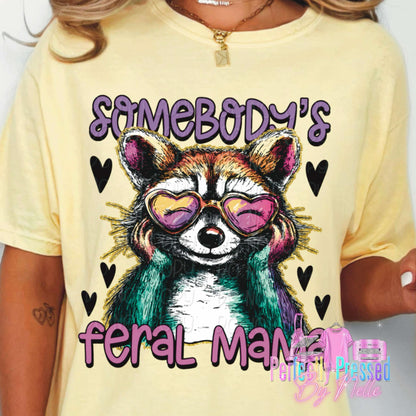 Somebodies feral mama (raccoon)