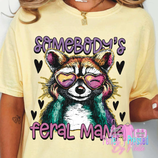 Somebodies feral mama (raccoon)